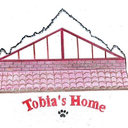 Tobia'S Home Roddino Exterior photo